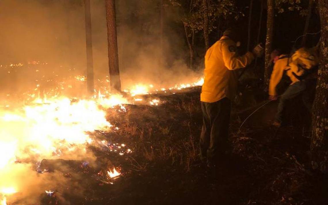 Inicia temporada de incendios forestales 2024 en Chihuahua El Sol de